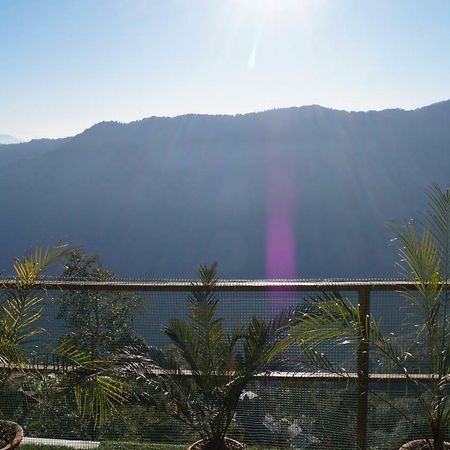Nirala Guest House Darjeeling (West Bengal) Ngoại thất bức ảnh